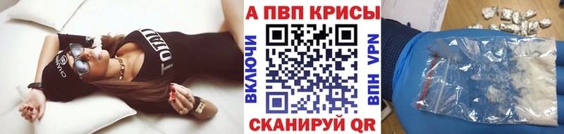 OMG вход  Вологда  A-PVP крисы CK 